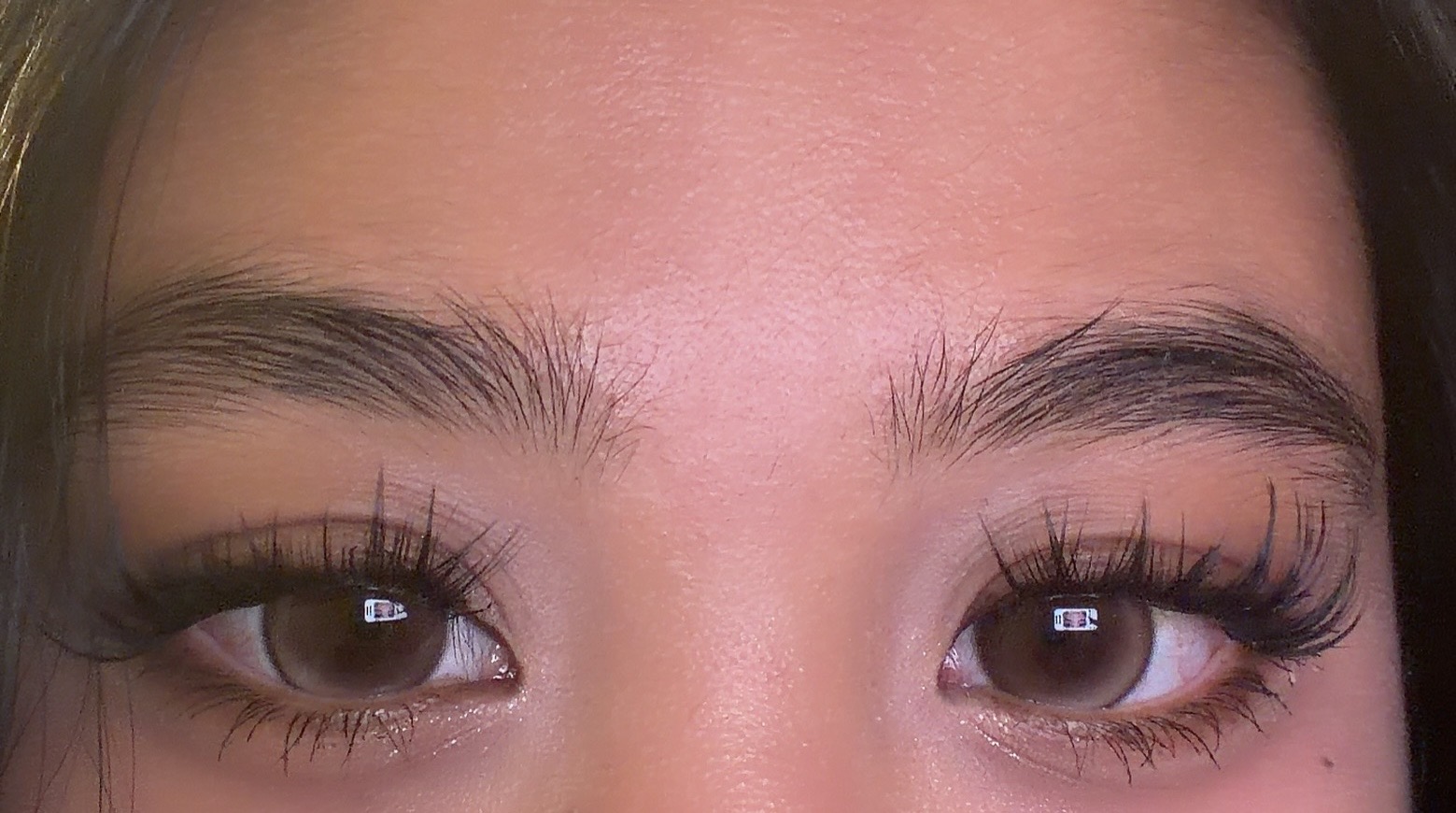 UGC005905