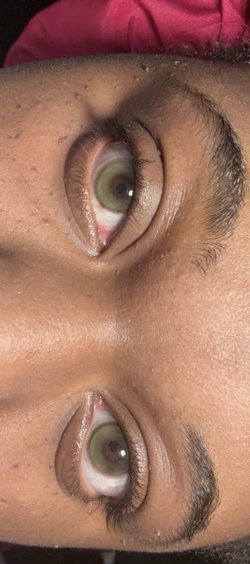 UGC005977