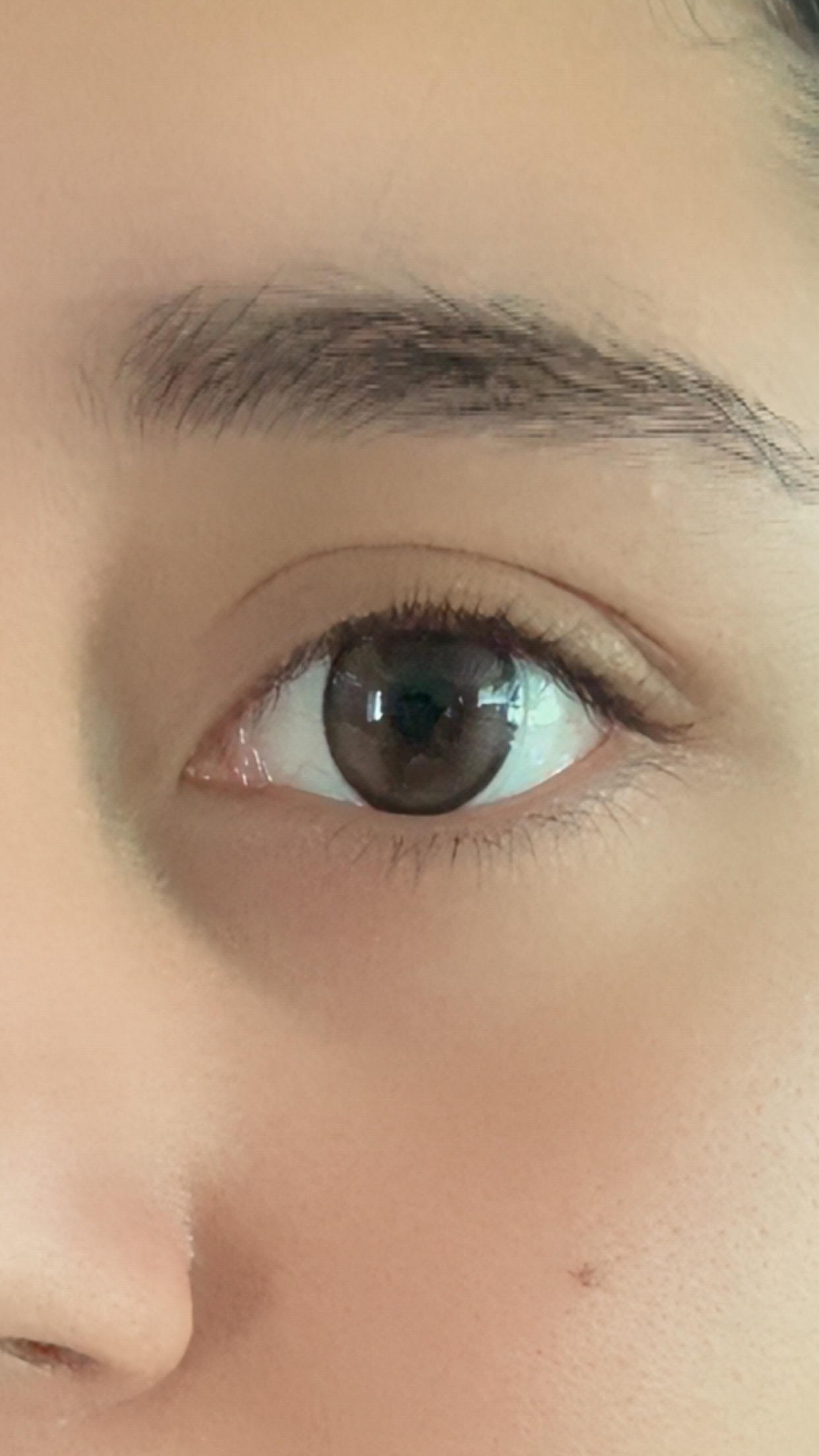 UGC004169