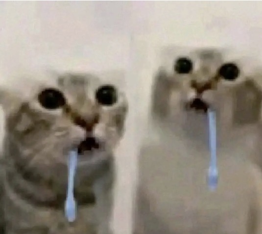 UGC004069