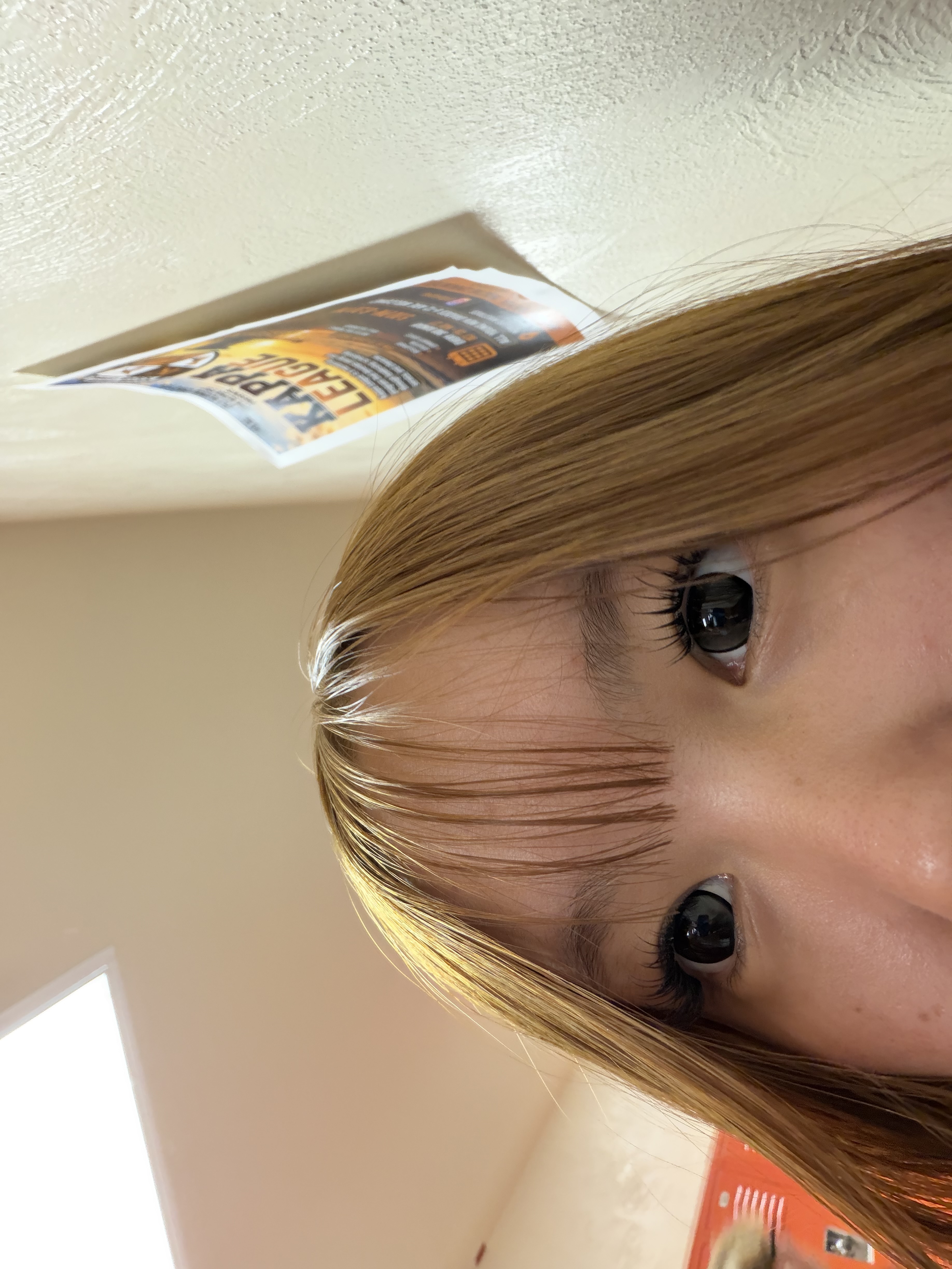 UGC008208