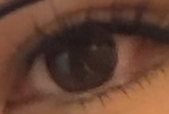 UGC004308