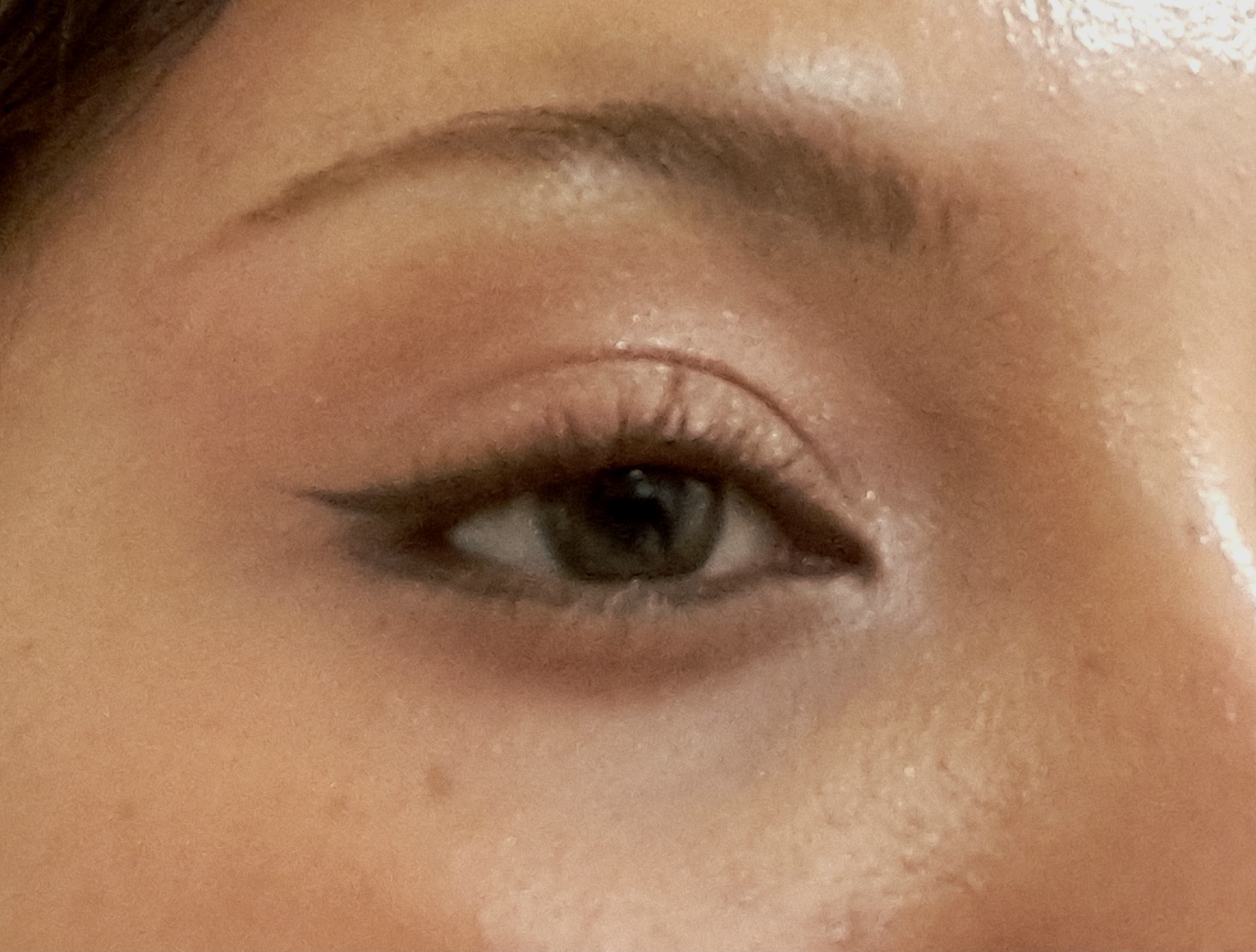UGC005231