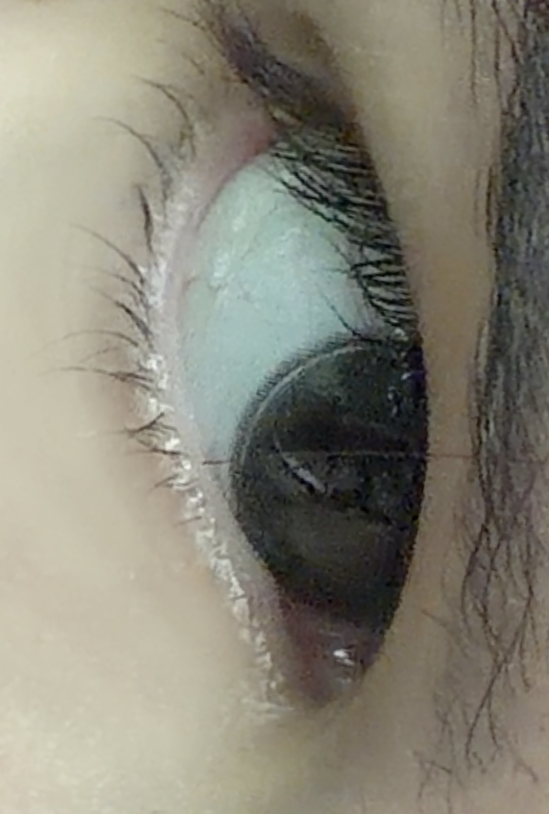 UGC006135