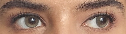 UGC006484