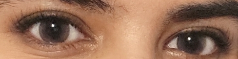 UGC006489