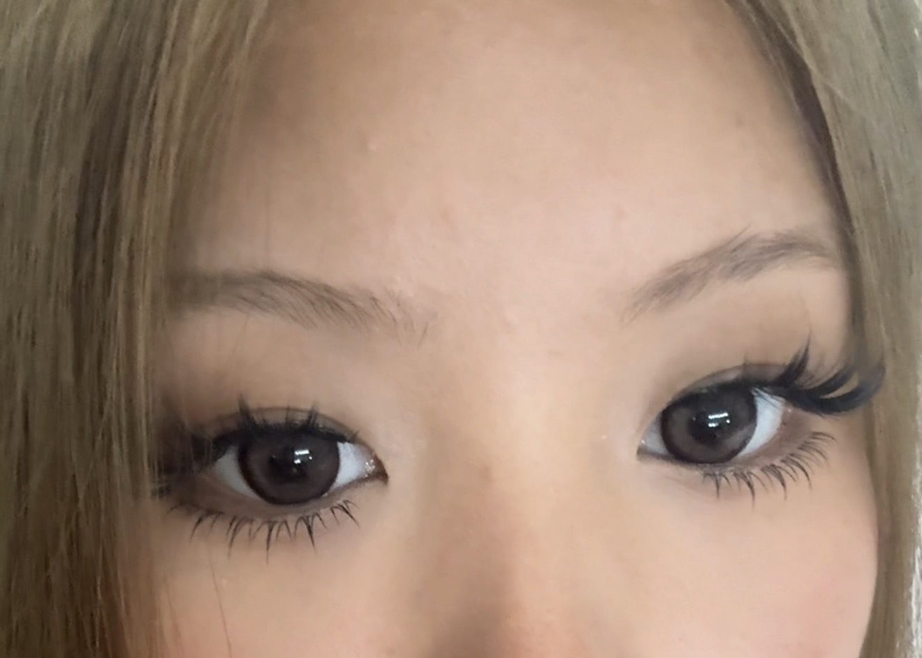 UGC004534
