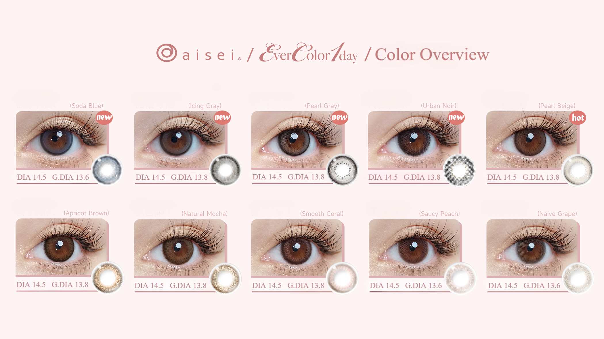 アイケア Nana Trial】Aisei Evercolor 1 Day Natural Icing Gray Daily