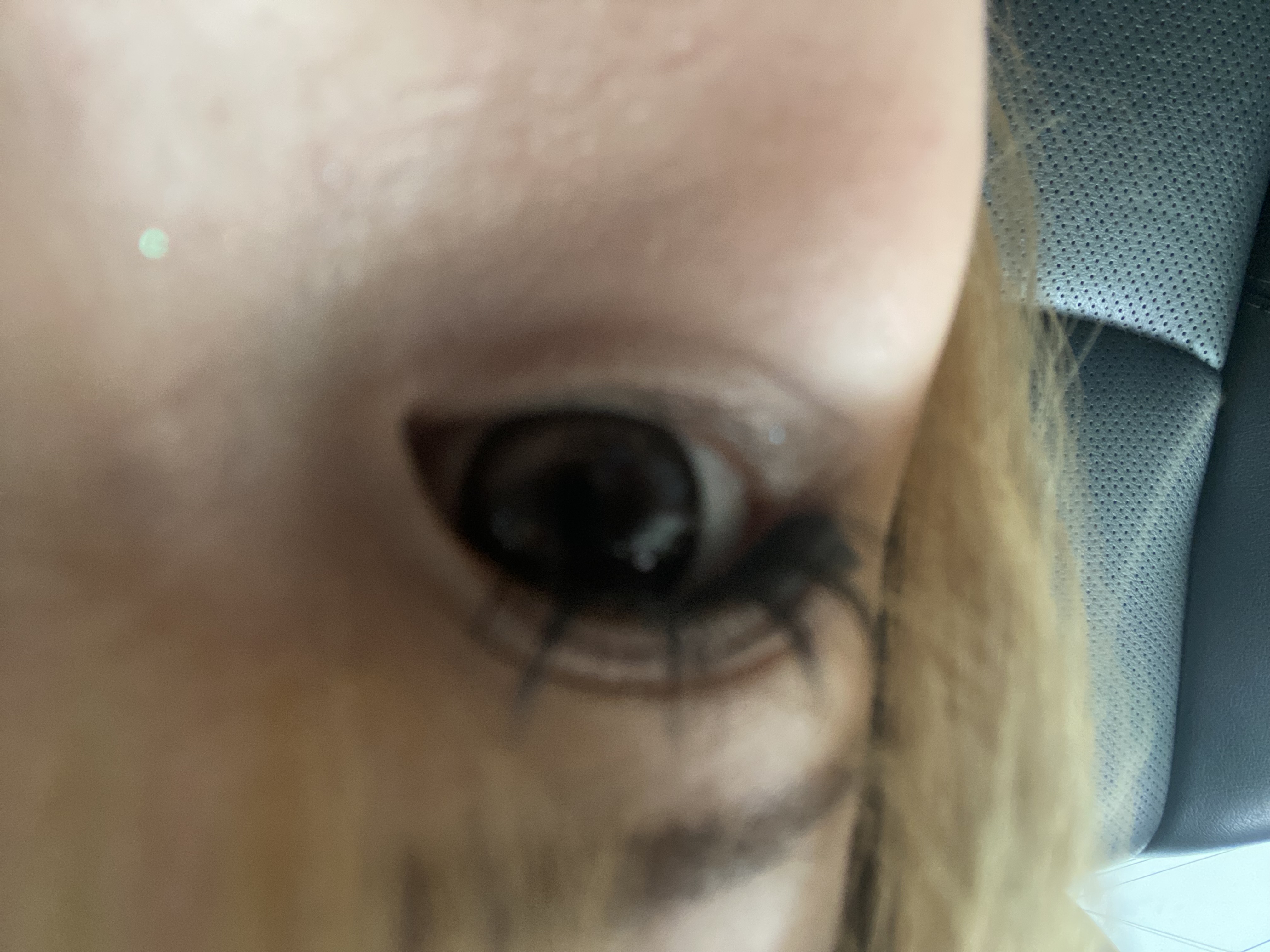 UGC005974