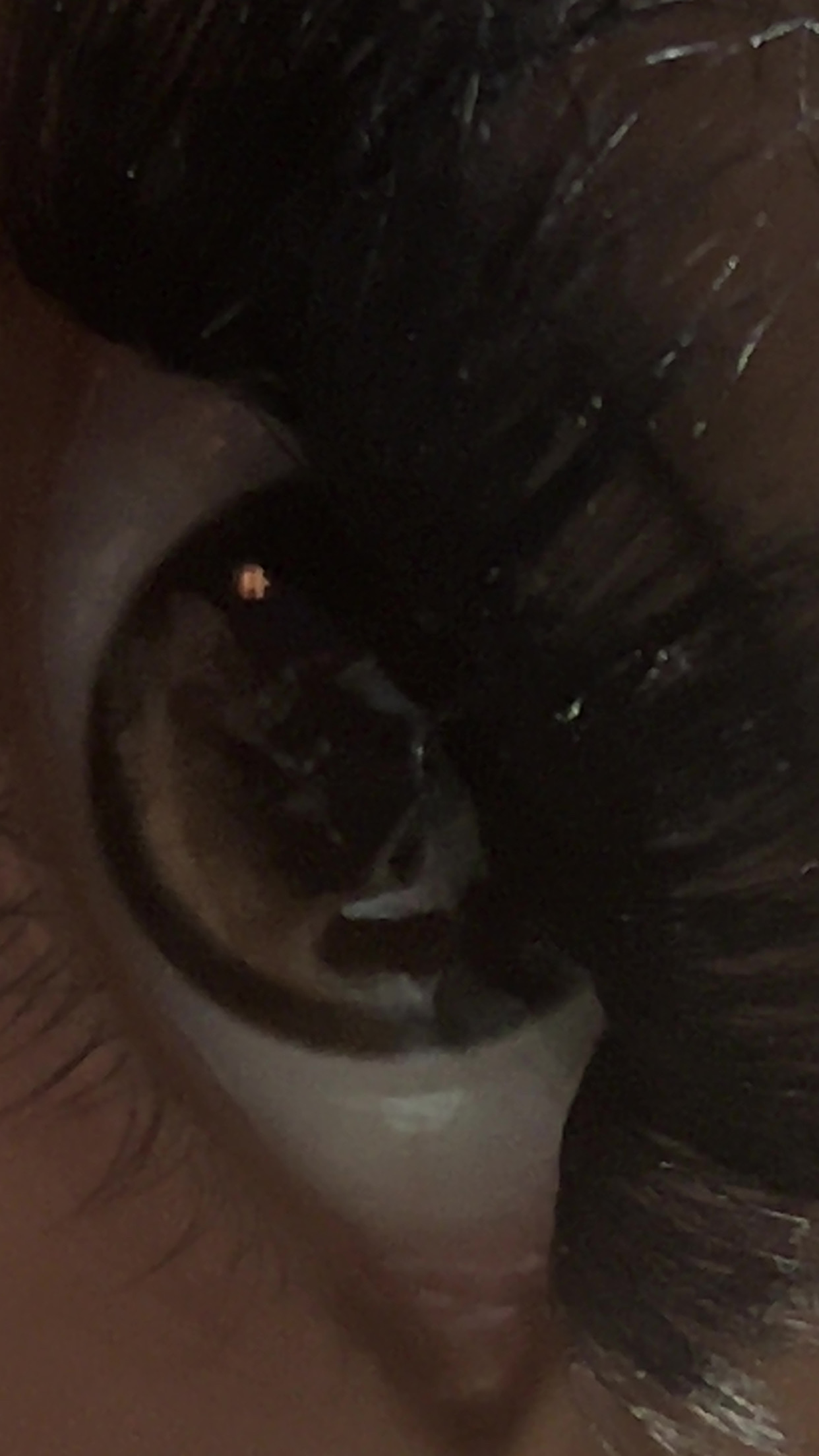 UGC007301