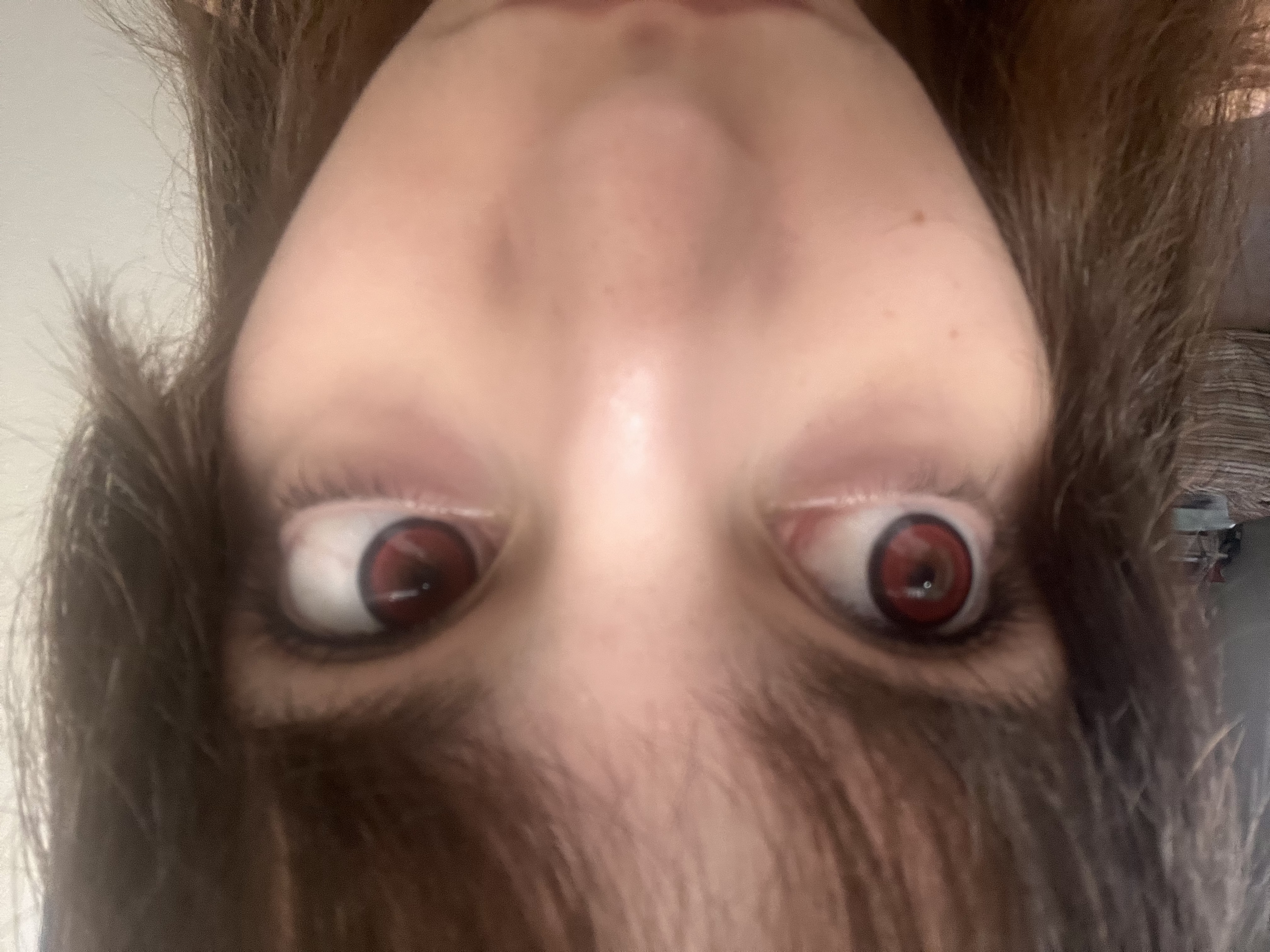 UGC004376
